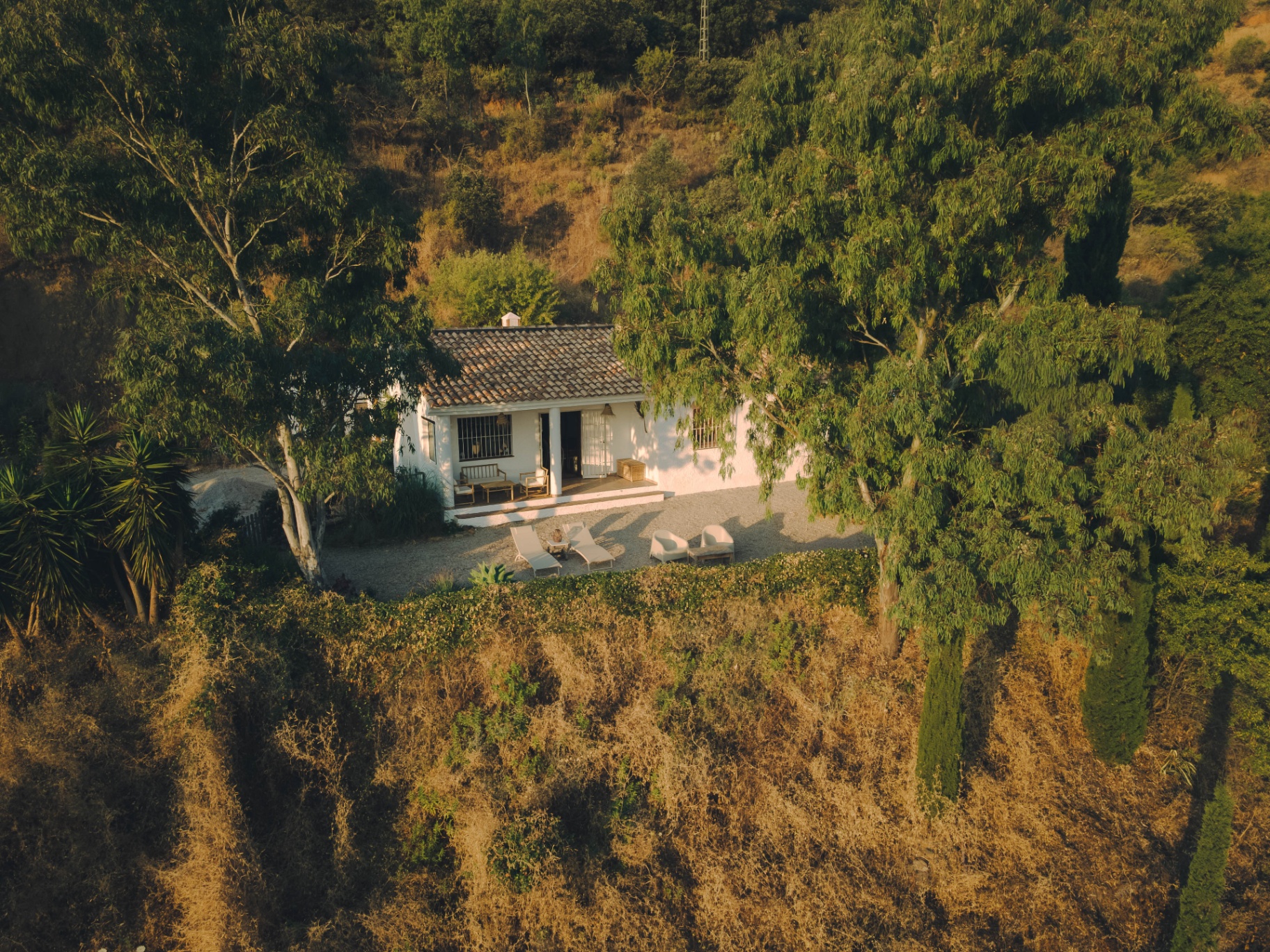 Aerial view of Casa Lomi nestled among trees and olive groves