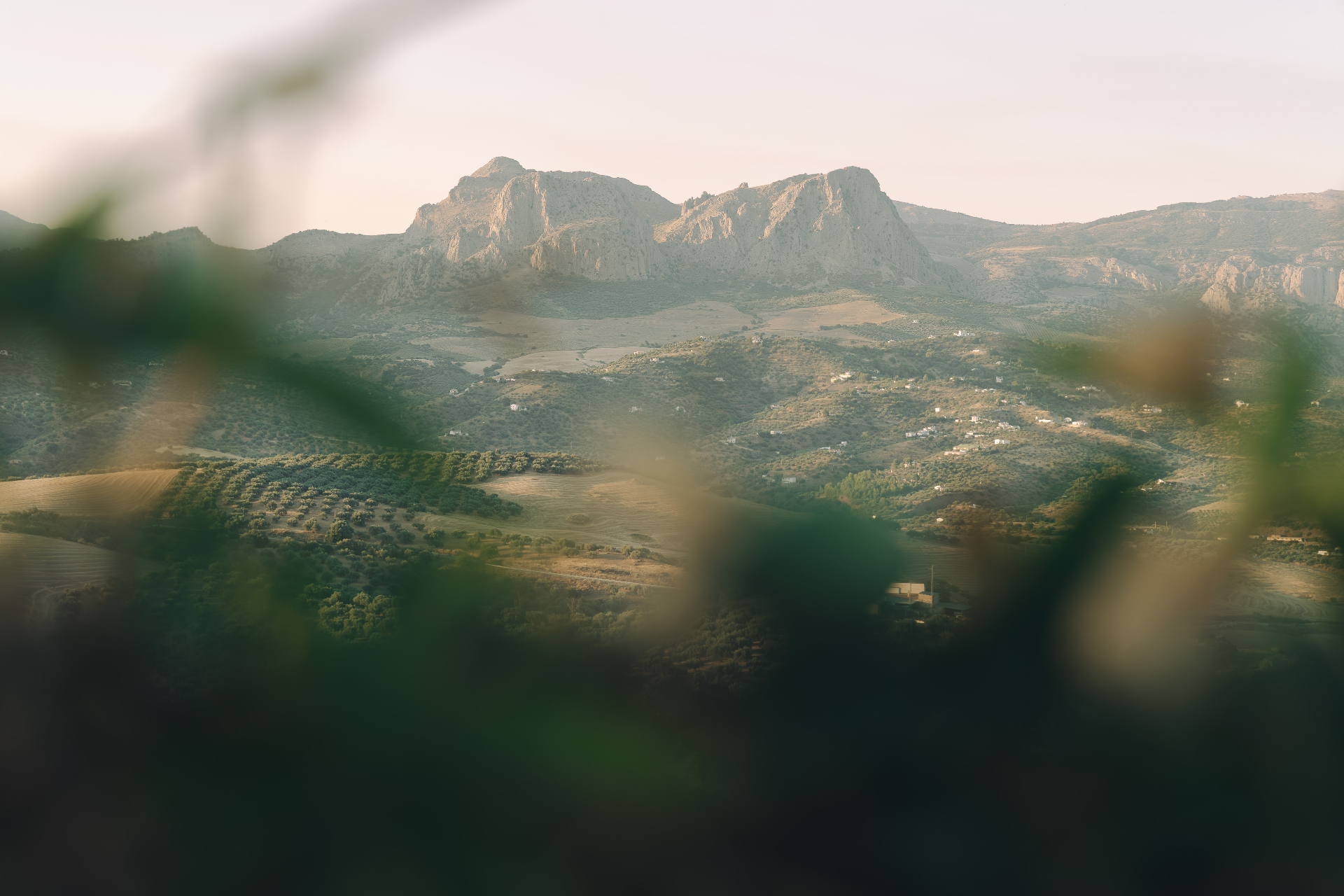 Mountain view over the Andalucian valley at golden hour