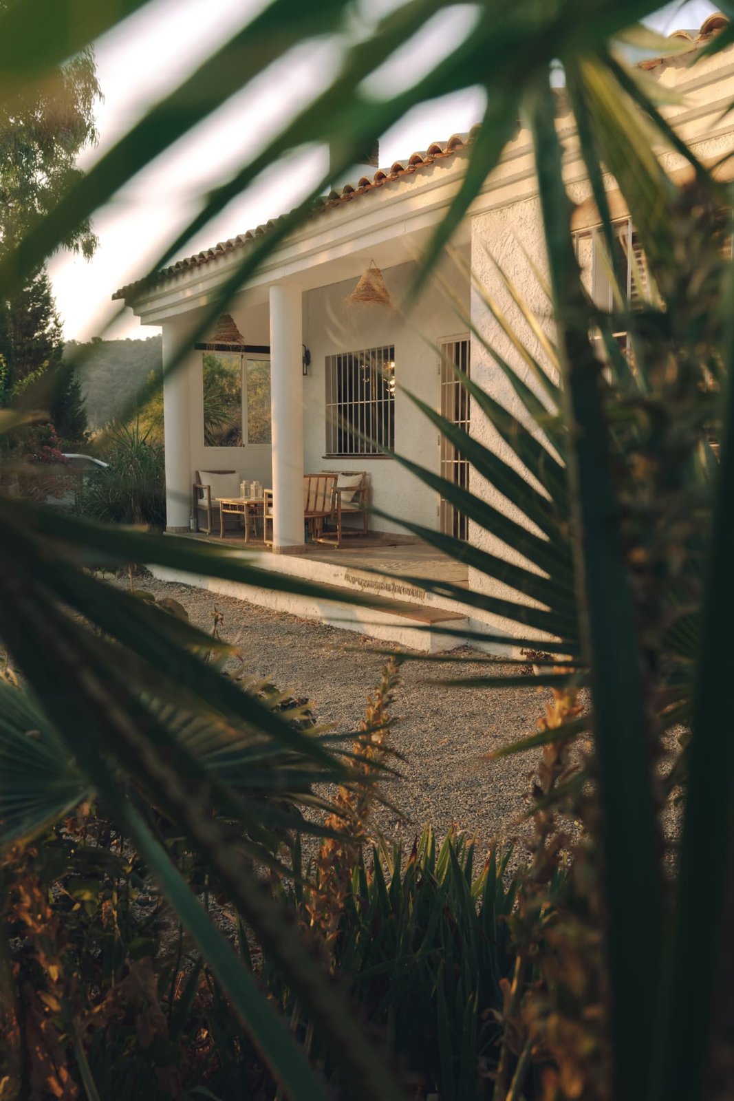 The covered porch of Casa Lomi seen through palm leaves at golden hour